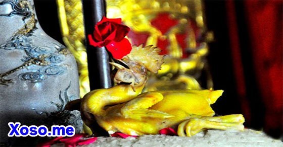 Mơ thấy cúng gà