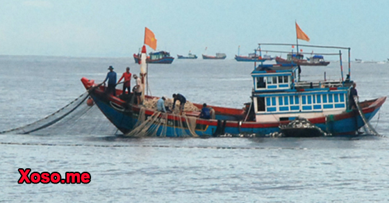 Mơ thấy đi đánh được cá 